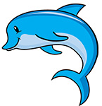 Dolphin